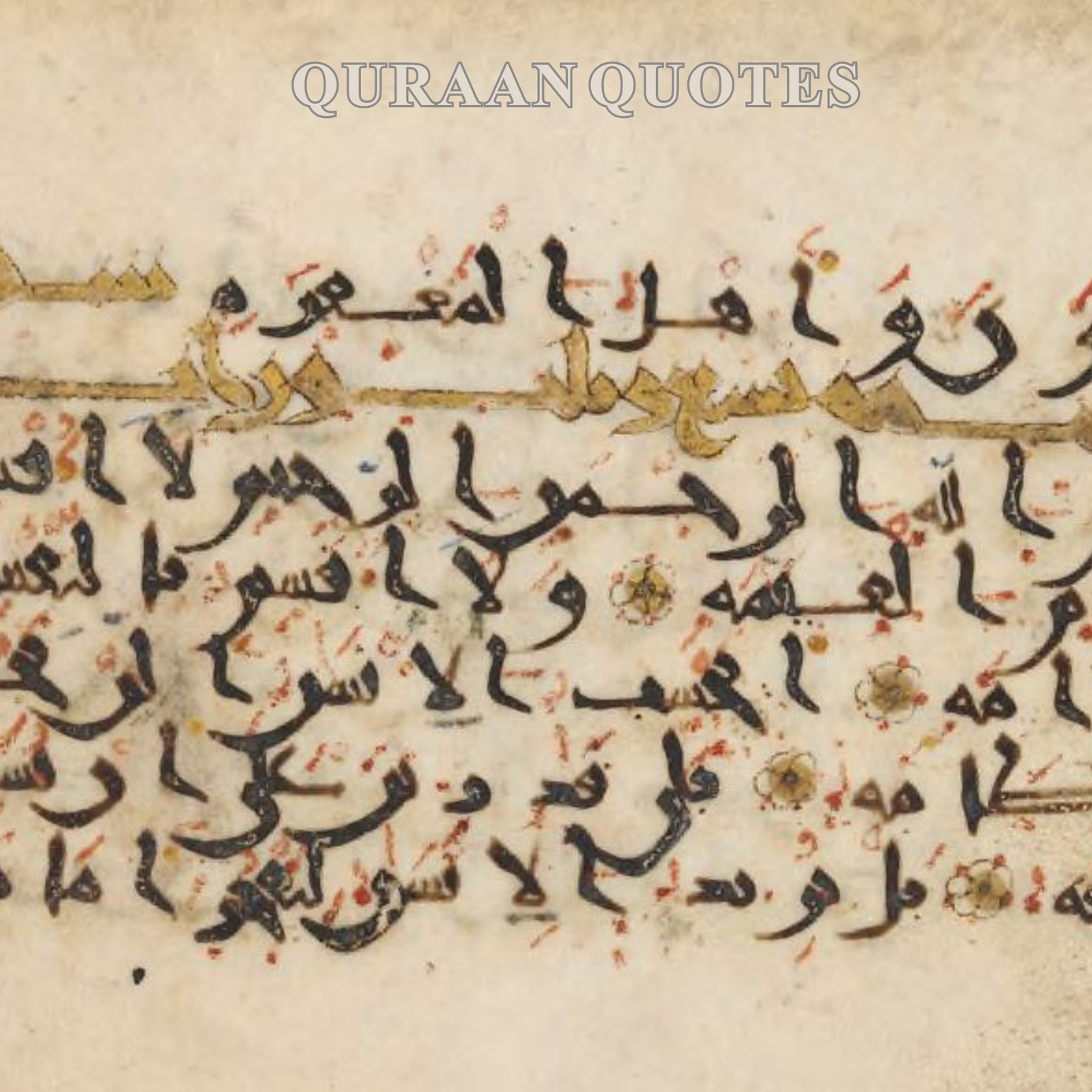 Quraan Quote Collection